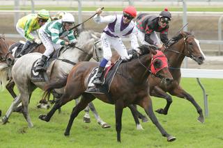 Ocean Emperor takes out the Gr.2 Japan-New Zealand International Trophy.